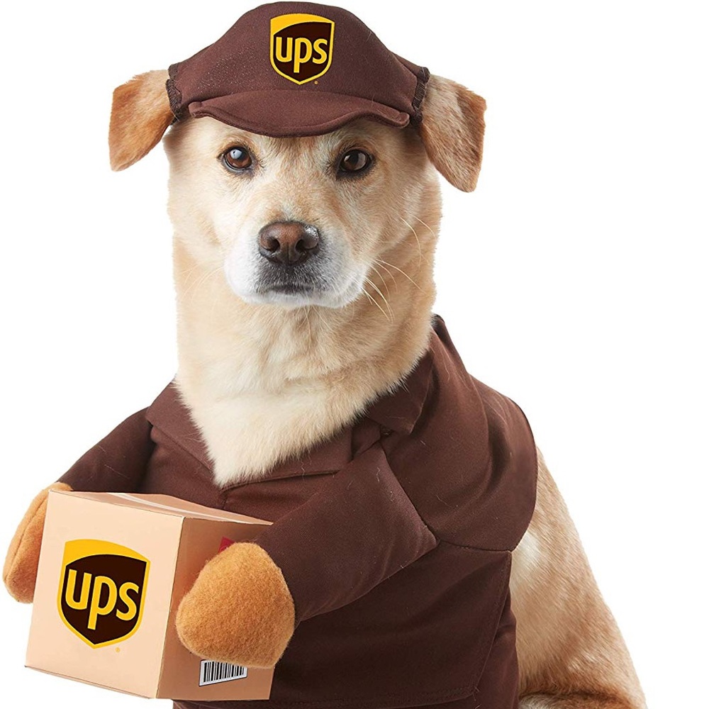 UPS Delivery Man Dog Costume